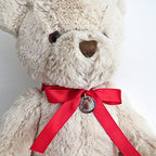 Personalised Teddy Bear & Edge Disc, Red Ribbon