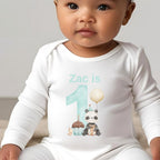 Personalised Blue 1st Birthday Panda Baby Outfit: Bib, Vest, Baby Grow