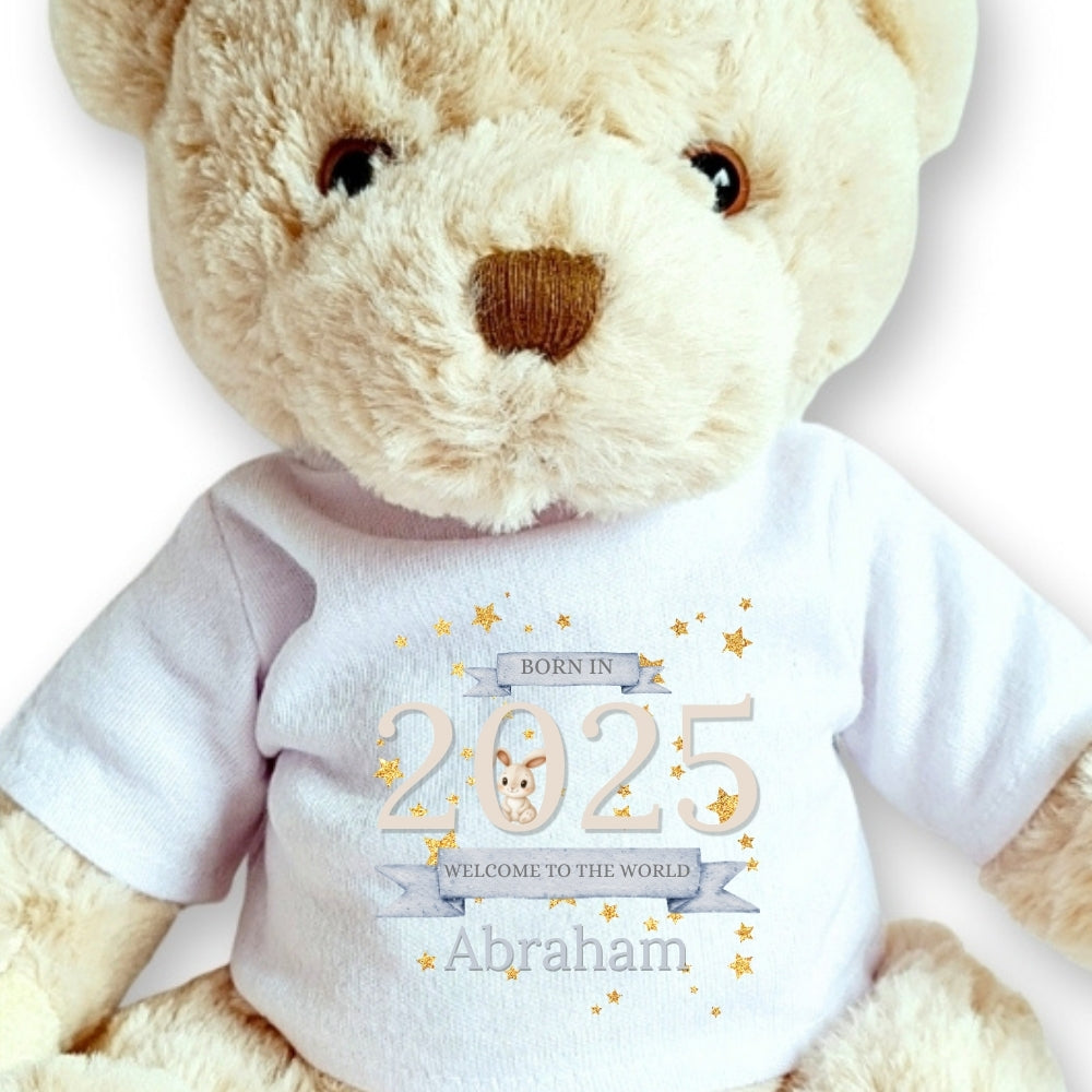 Personalised Luxury Teddy | Welcome to the World 2025 T-Shirt