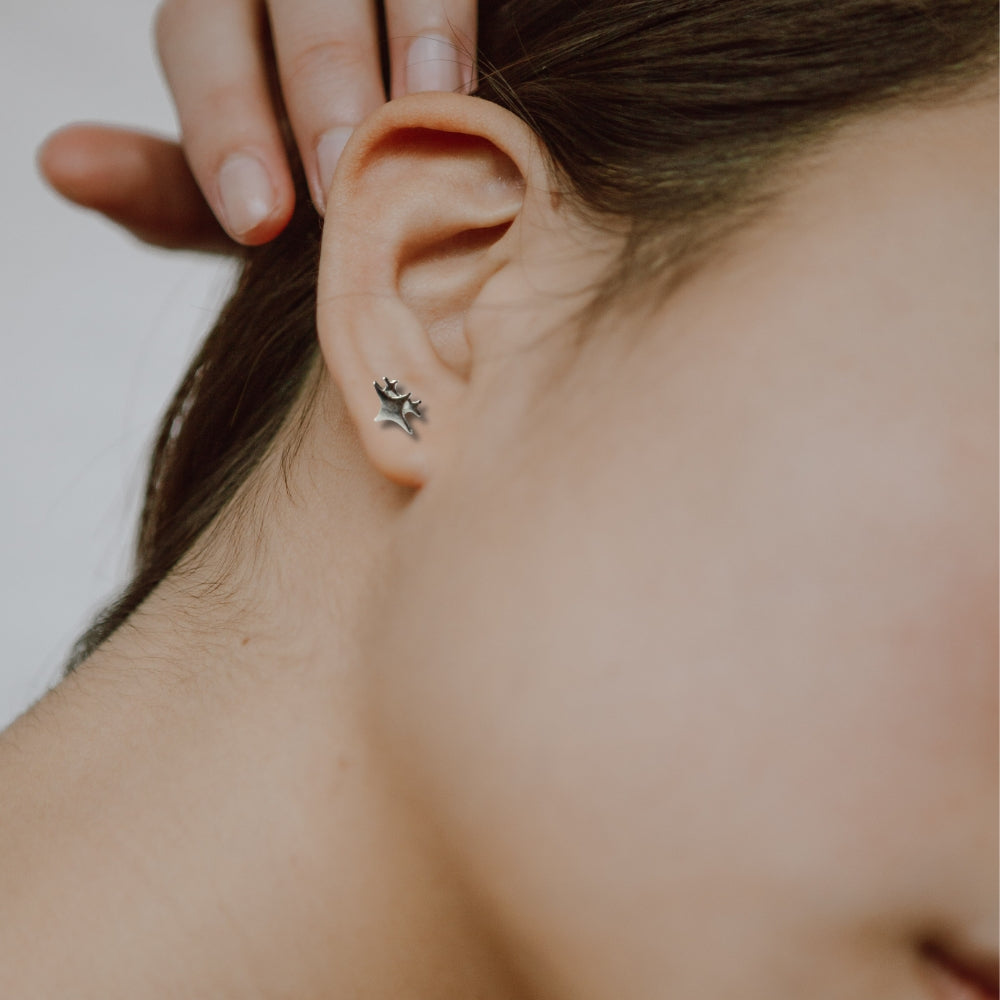 Sparkling Star Silver Stud Earrings