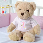 Personalised Luxury Teddy Bear with Rainbow Fairy T-Shirt