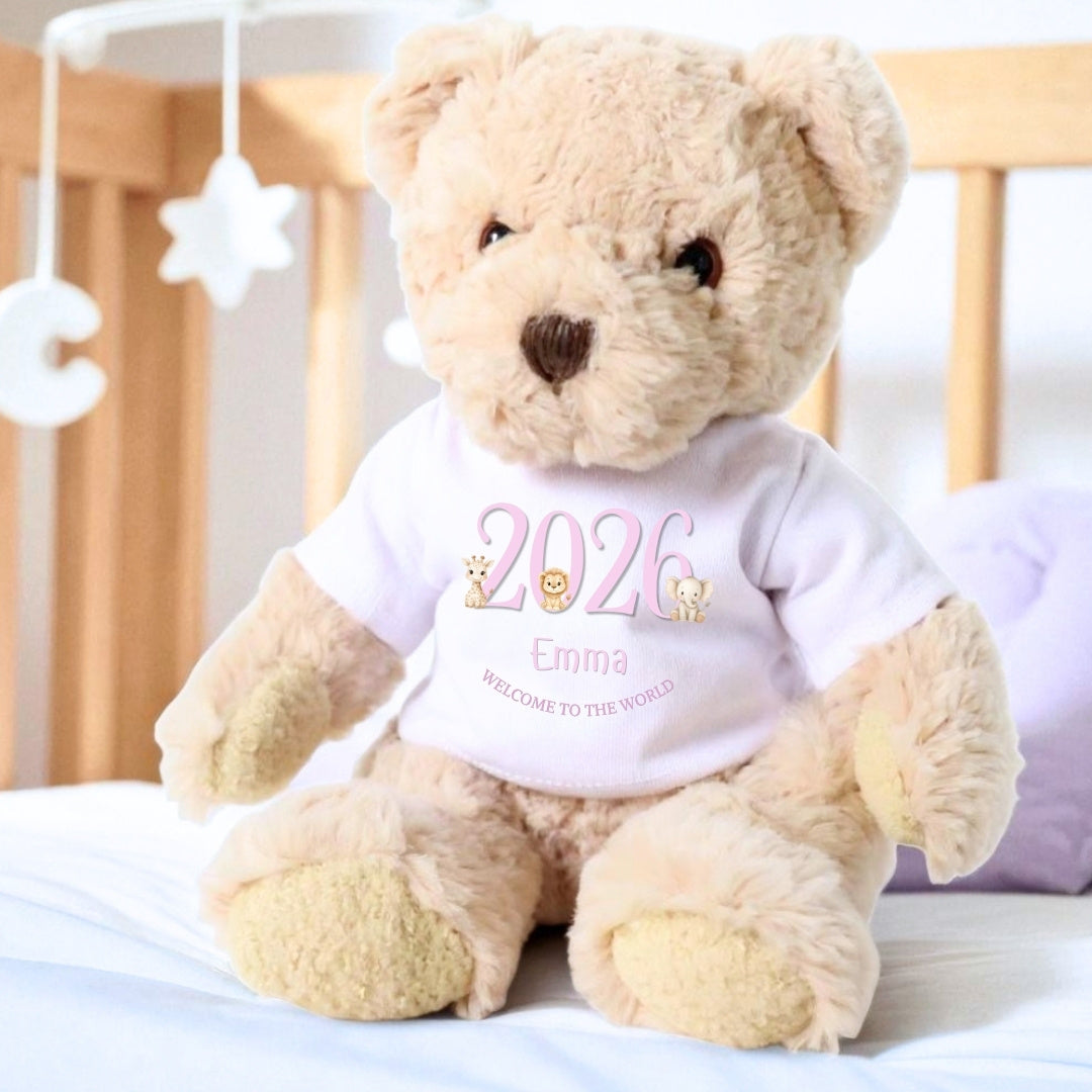 Personalised Luxury Teddy Bear with Pink Welcome to the World T-Shirt