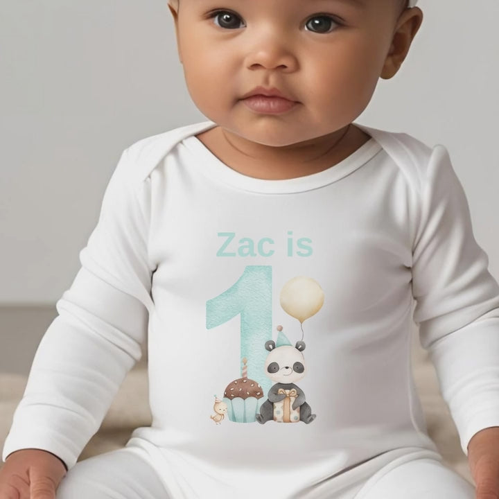 Personalised Blue 1st Birthday Panda Baby Outfit: Bib, Vest, Baby Grow