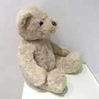 Personalised Luxury Teddy Bear with Cute as Can Bee T-Shirt