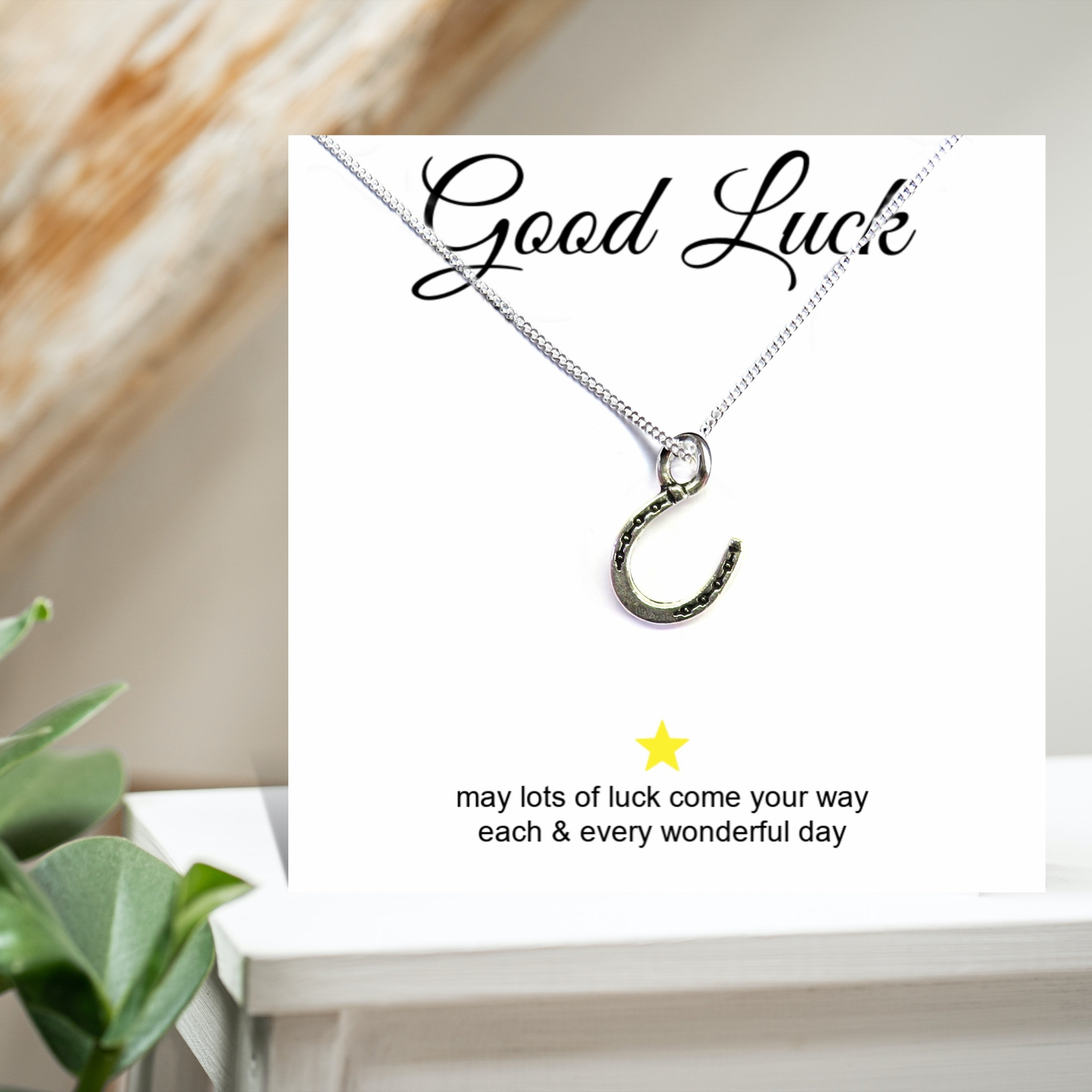 Horseshoe Charm Necklace on Good Luck Message Gift Card
