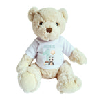 Personalised Boys Luxury Teddy Bear with 1st Birthday Panda T-Shirt